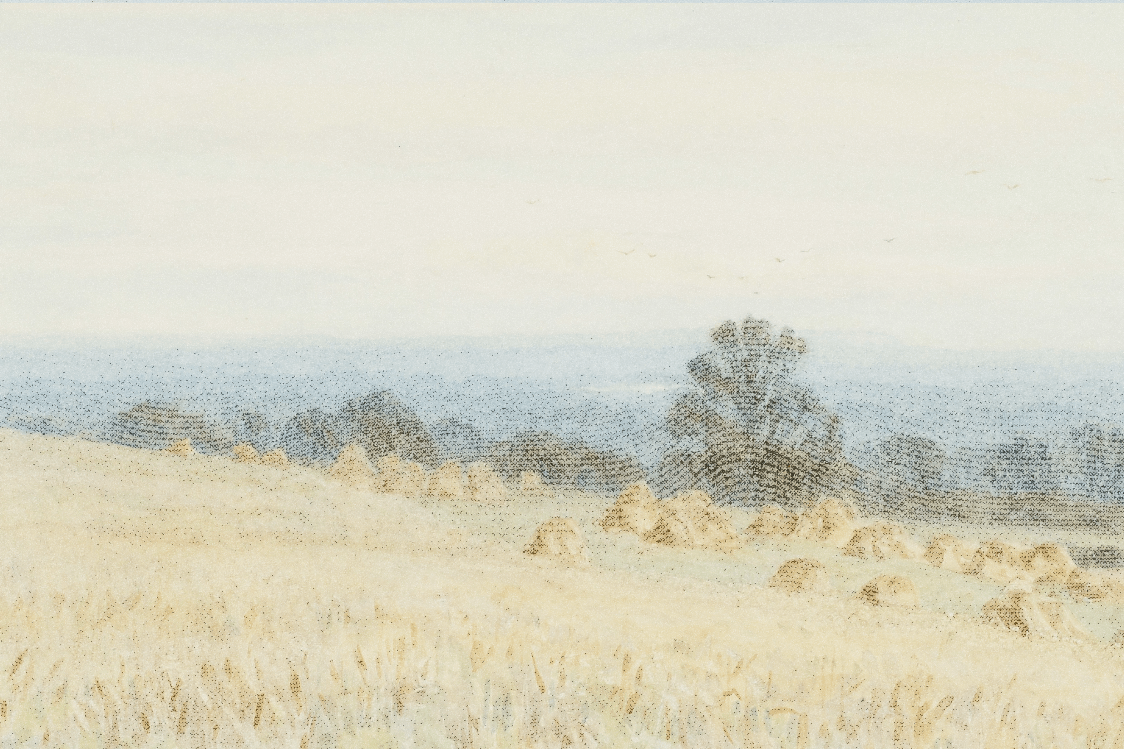 Hero background - Serene landscape painting